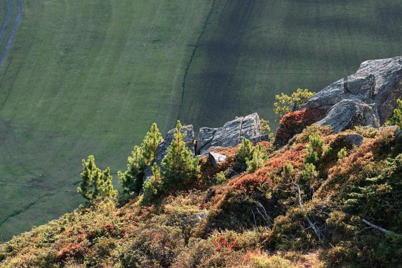 Hotel Viktoria Soelden Exteriér fotografie